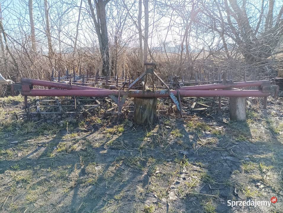 Brony 5 polowe Brony Milicz