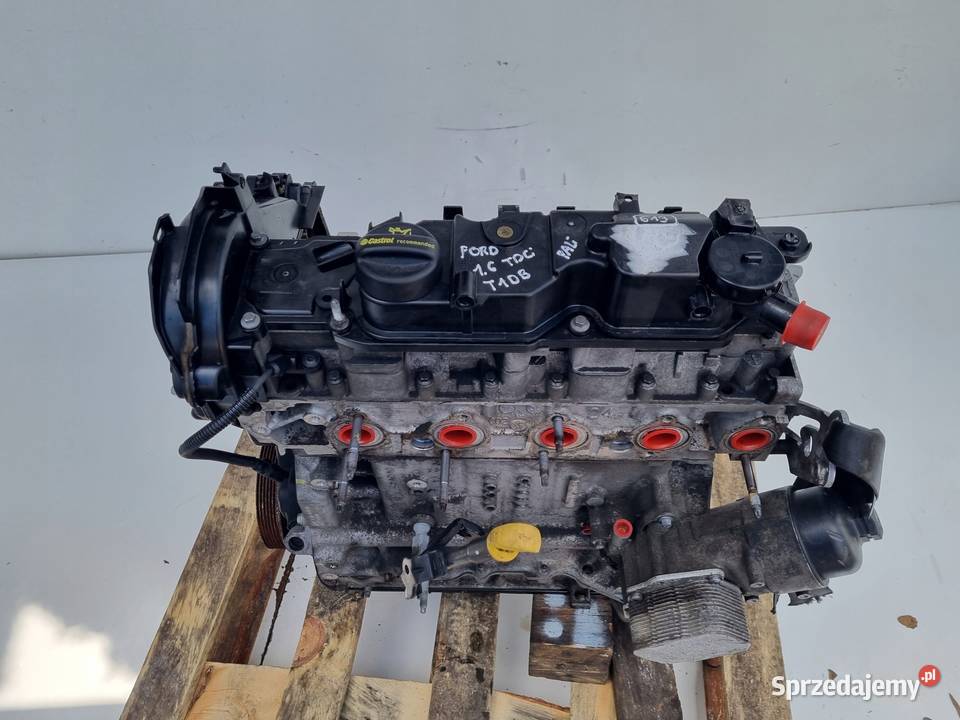 SILNIK Ford Focus III MK3 16 TDCI 115 T1DA T1DB osobowe Janów sprzedam