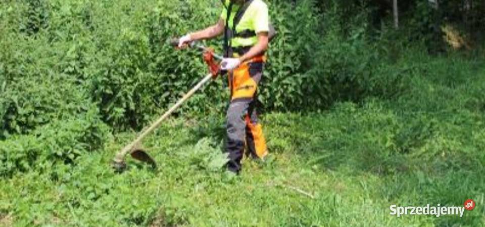 Glebogryzarka rębak koszenie trawy wycinka drzew Brzeziny