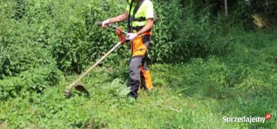 Glebogryzarka rębak koszenie trawy wycinka drzew Brzeziny