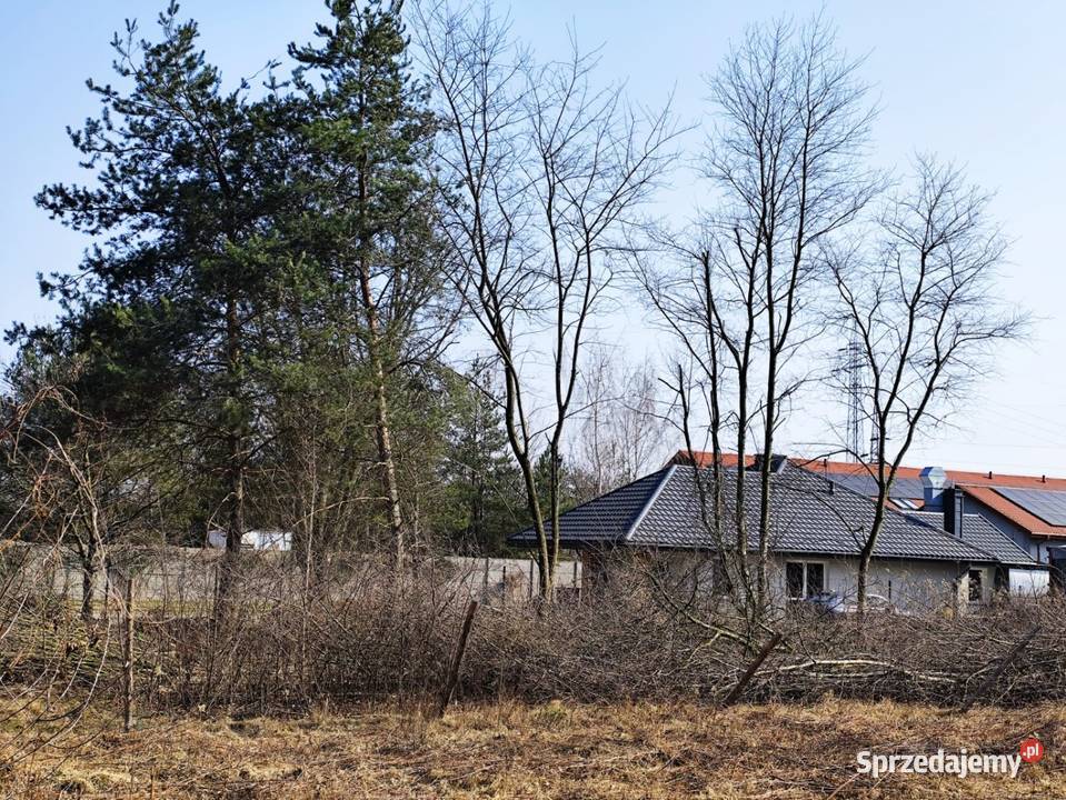 Działka budowlana i usługowa Michałów Reginów Sprzedaż mazowieckie Legionowo