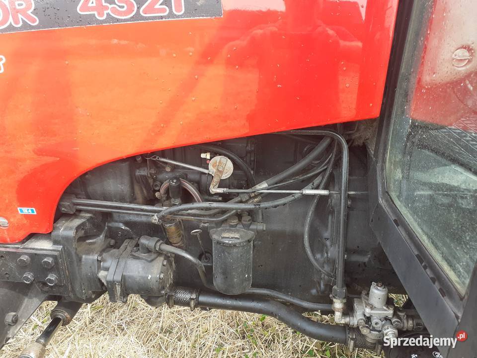 Zetor 4321 Małogoszcz