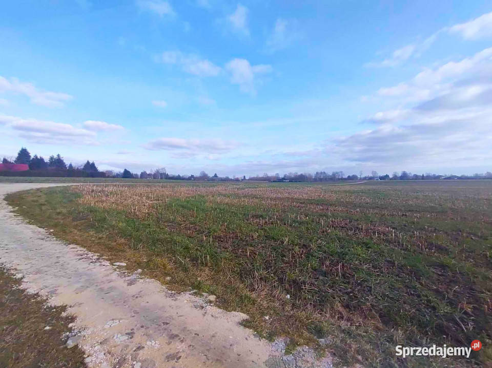 Działka Palikije Drugie 1800m2 sprzedam