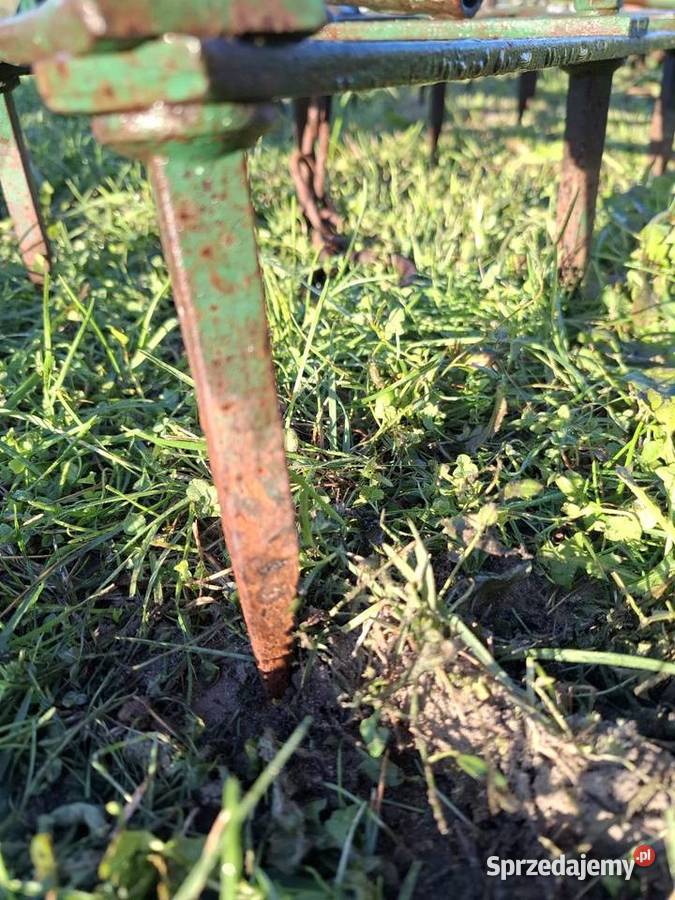 Brony 3 polowe UniaGrudziądz Brony Radom sprzedam