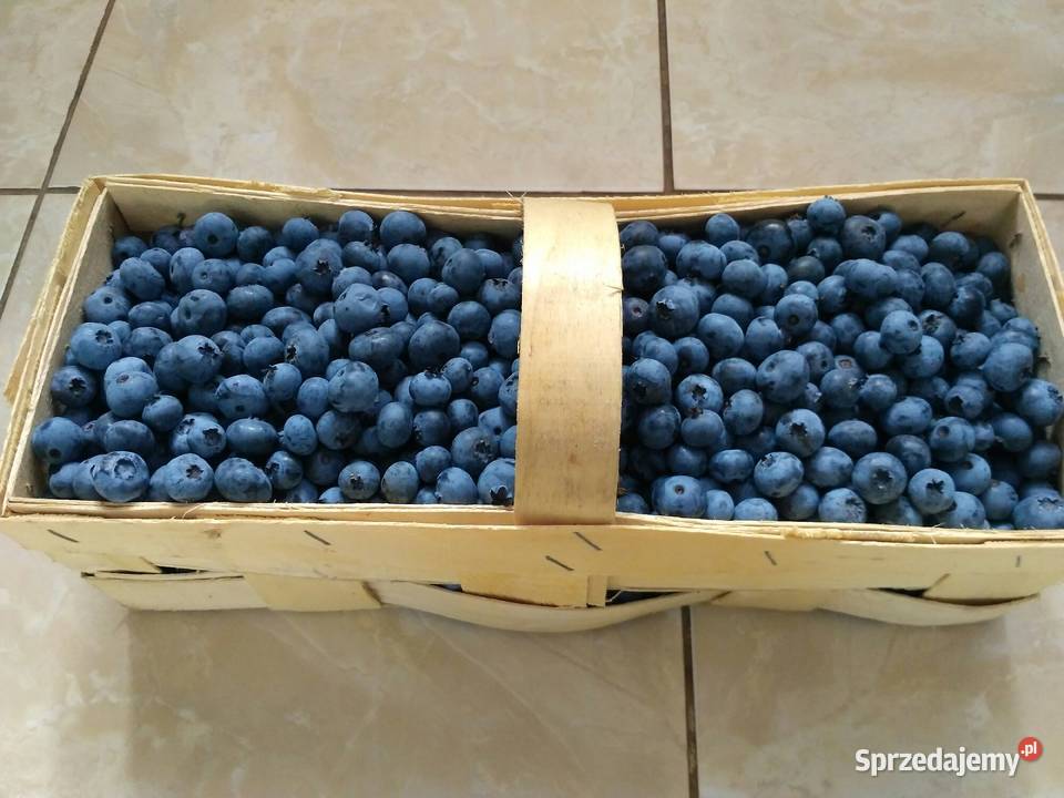 Borówka Amerykańska Owoce 4 250g Telefon Dębica