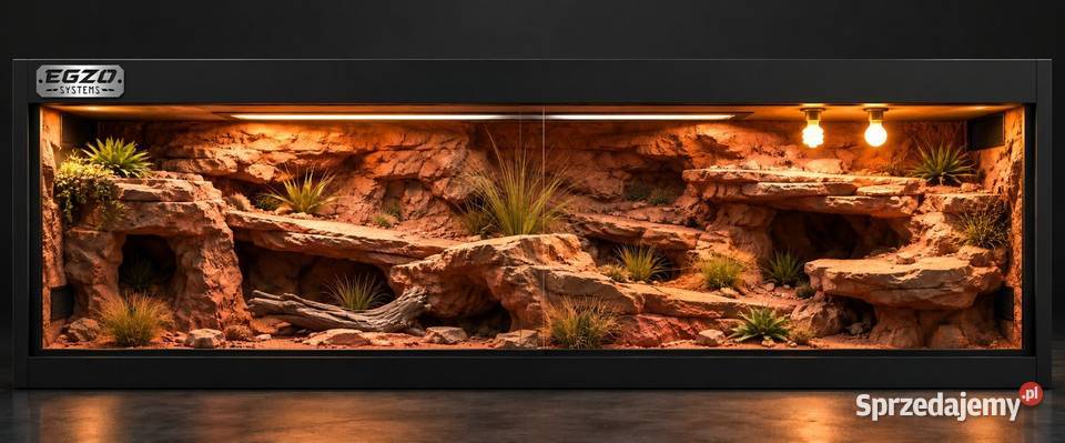 Terrarium agamy brodatej żółwia greckiego kujawsko-pomorskie Inowrocław