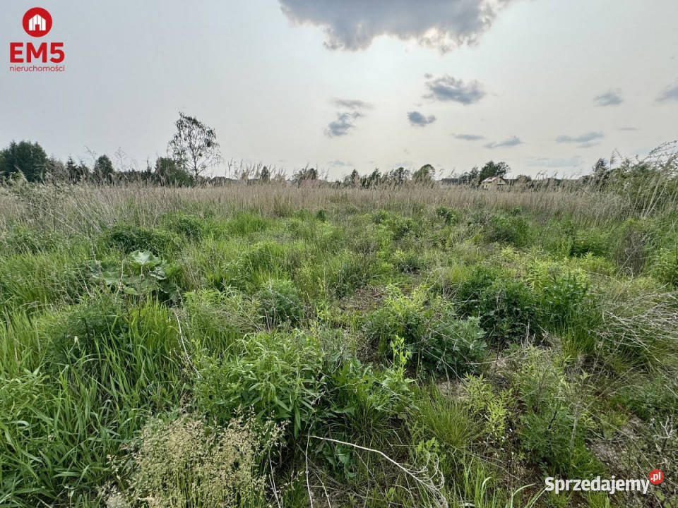 Działka 2855m2 Dąbrówno Nowodworce sprzedam