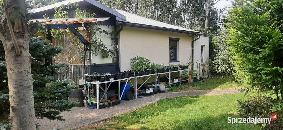 Działki 1000m2 z domkiem 65m2 w Tuszynie Tuszyn