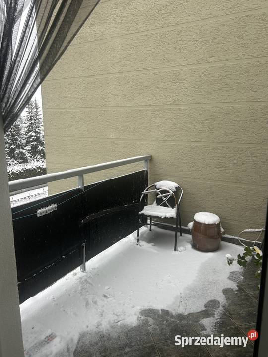 PIASECZNO MŁYNARSKA 15 Do Wynajęcia Mieszkanie