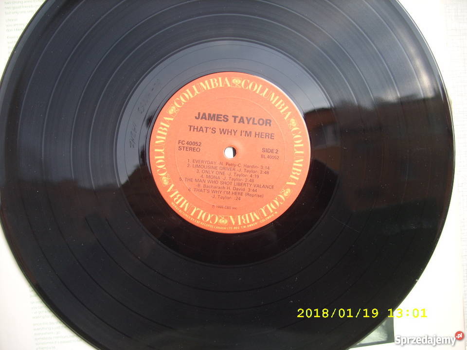 Rock LP JAMES TAYLORTHATS WHY IN HERE Canada płyta winylowa Wołów
