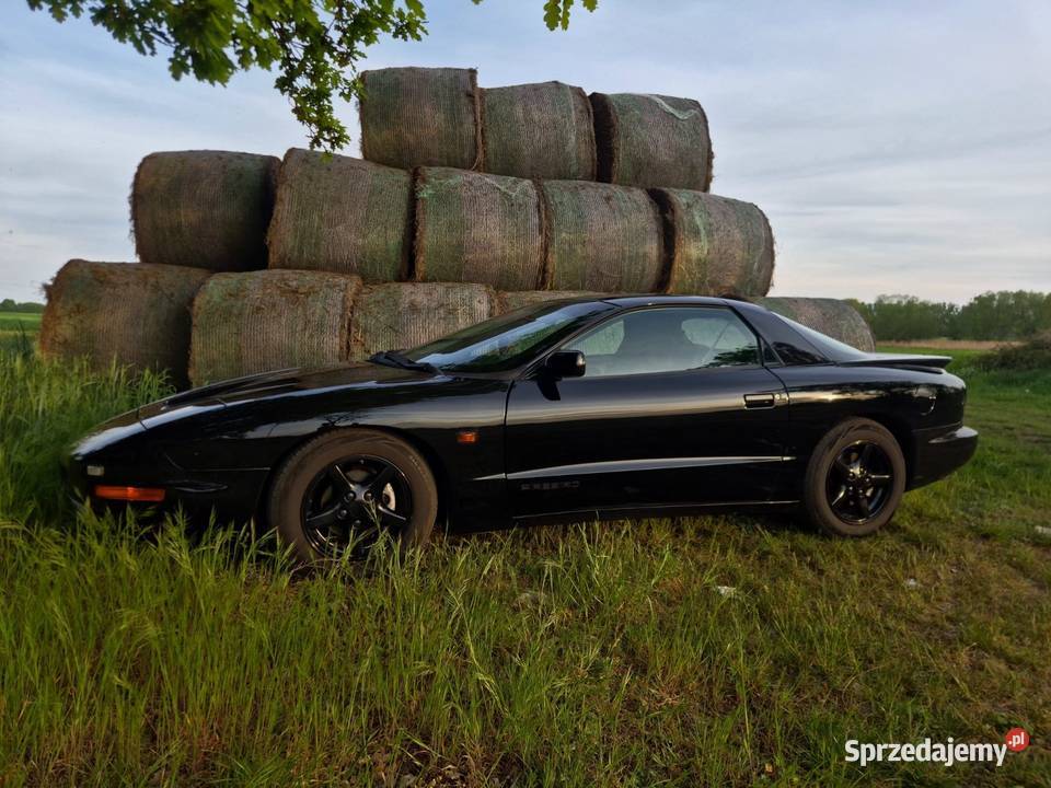 Pontiac Firebird Chevrolet Camaro Szamotuły