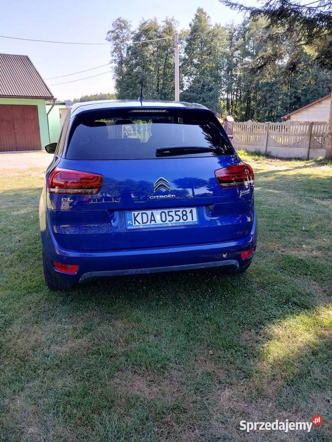 C4 Picasso 2