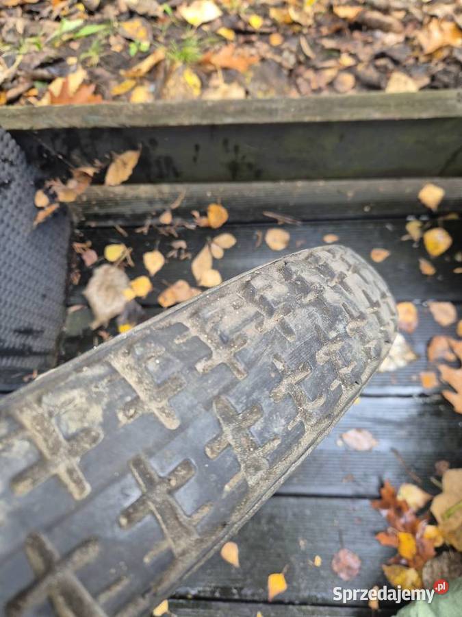 Panonia koło opona degum 19