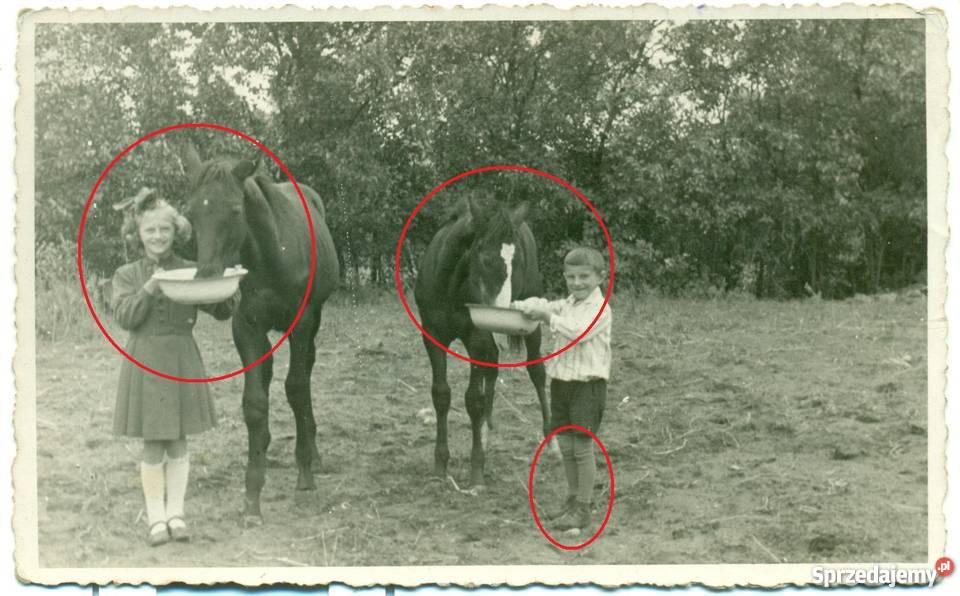 Stare zdjęcie ciekawy opis 21081937 15091940 r 3 wielkopolskie Ostrów Wielkopolski
