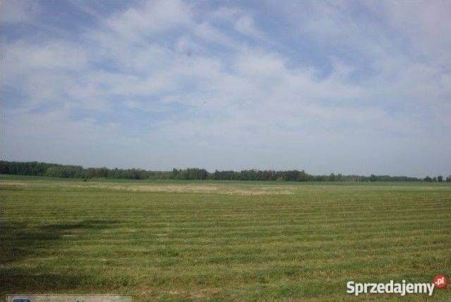 ziemia rolna 17 hektarów grunt gospodarstwo Barciany