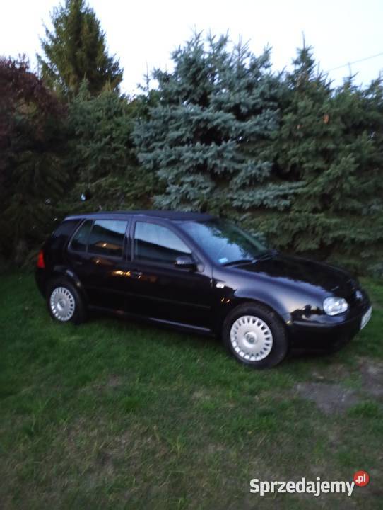 Volkswagen Golf 4 16 gaz sekwencja 5drzwi ładny Rok produkcji 1998 Łuków