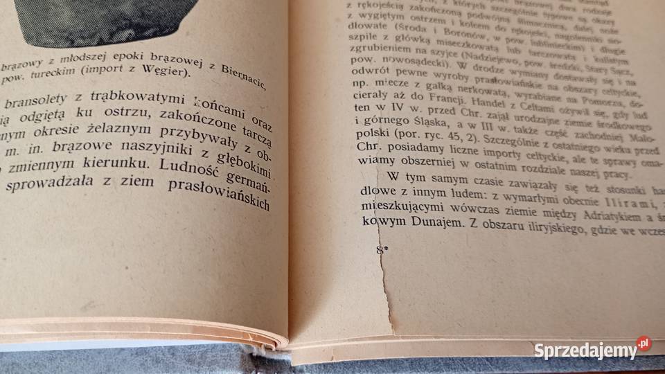 Prasłowiańszczyzna zarys dziejów i kultury Gdańsk sprzedam