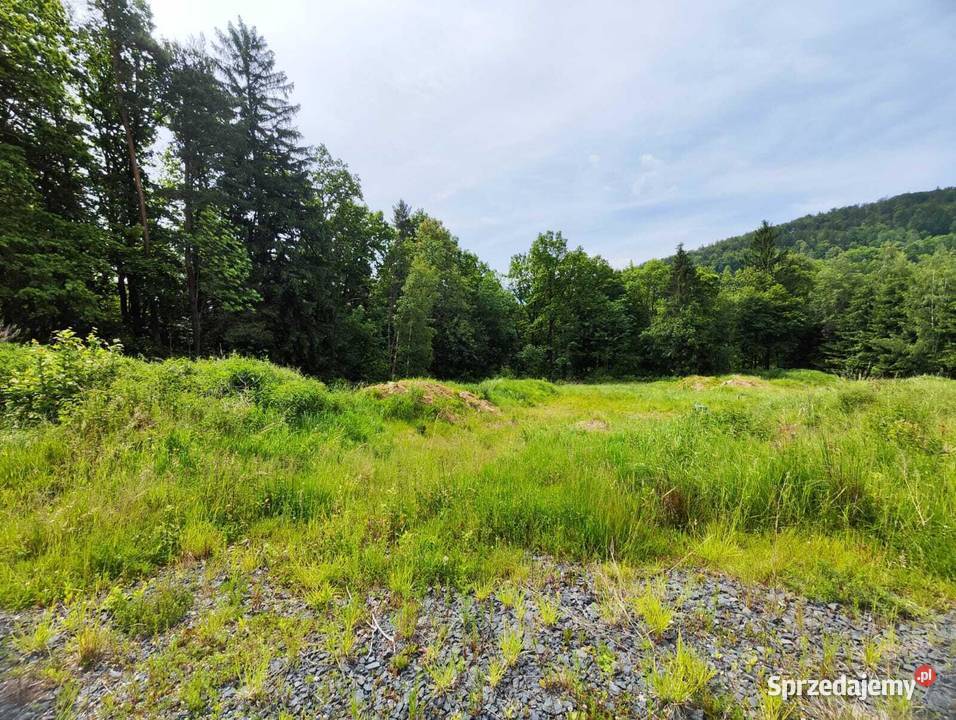 Działka w górach w m Piechowice Górzyniec Sosnówka