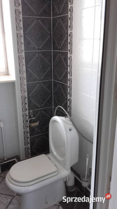 dam na wynajem Ostrów wlkp Ostrów Wielkopolski