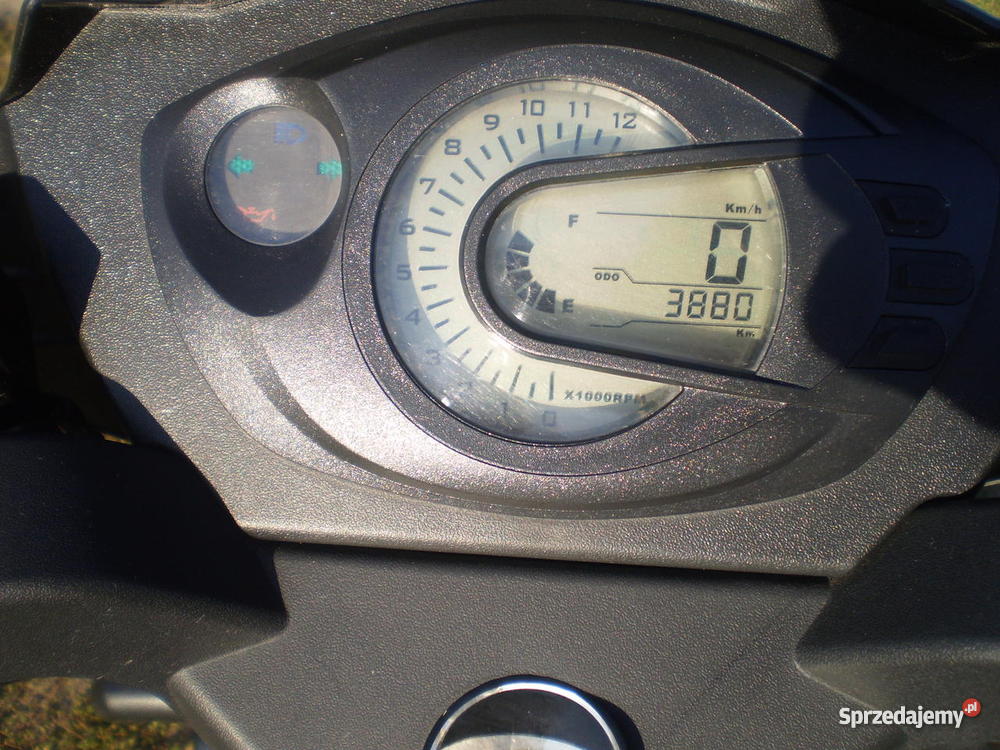 Zico Simpli Zipp Swarzędz