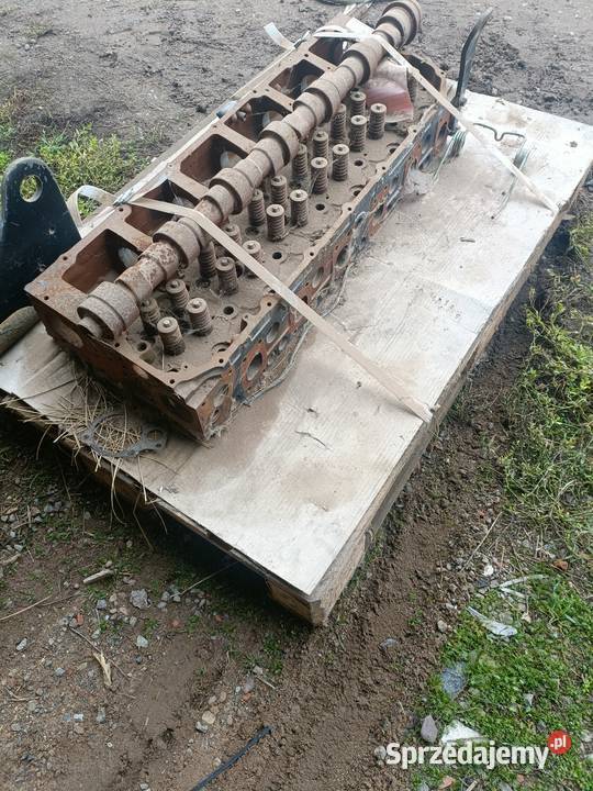 Głowica case magnum Leszno sprzedam