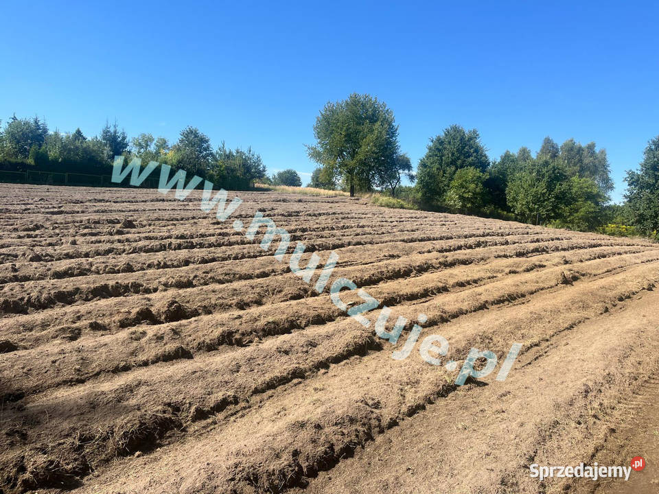 Mulczowanie wgłębne powierzchniowe rekultywacja Tychy