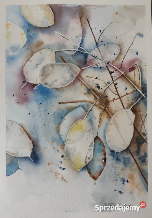 Akwarela Akwarelka Obraz pt Lunaria Obrazki i obrazy sprzedam