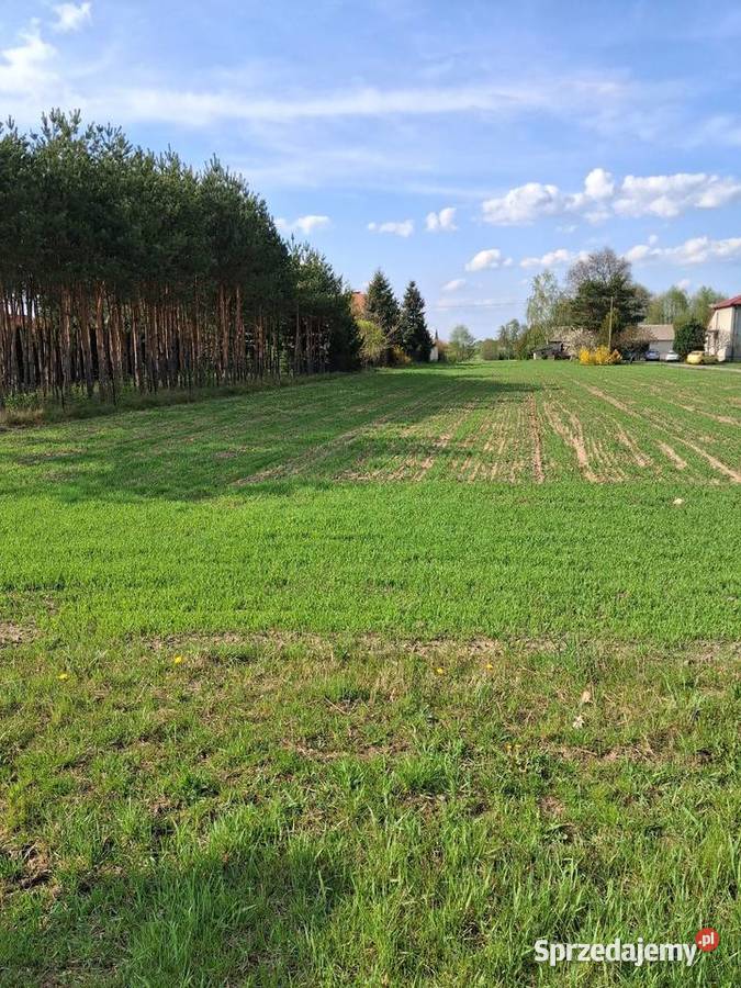 SPRZEDAM DZIAŁKĘ Radzyń Podlaski