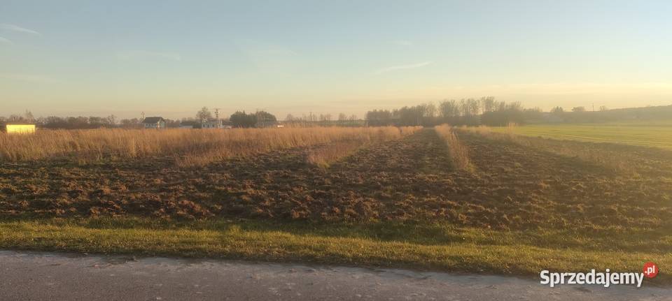 MPZP Niwki ladna drodze asfaltowej Nieruchomości Zwoleń