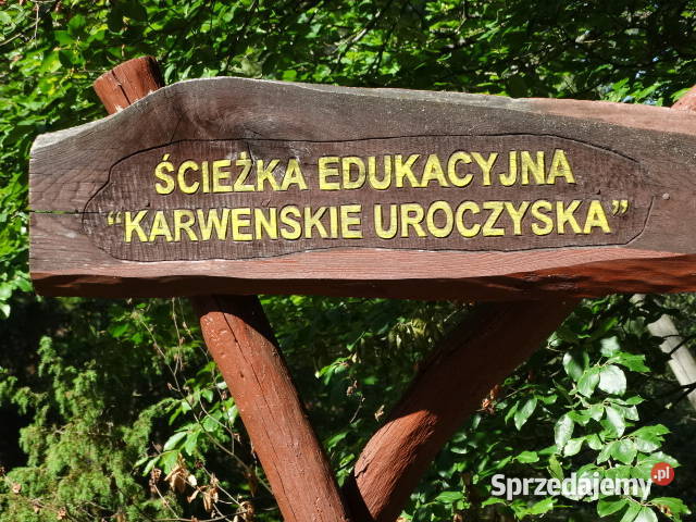 Kameralna działka na Kaszubach niedaleko jeziora Kleszczyniec sprzedam