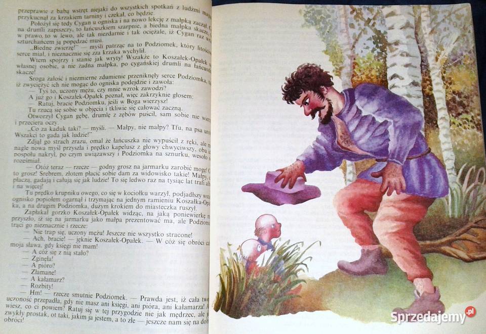 O krasnoludkach i o sierotce Marysi Maria Chełm