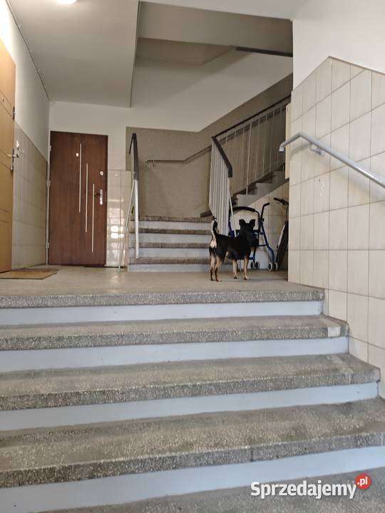 Mieszkanie 2 pokojowe Barona 9725zł/m2 Sprzedaż Elbląg sprzedam