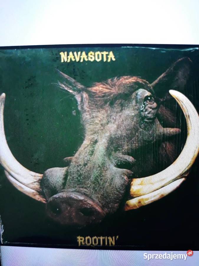 Archiwum blues rocka NAVASOTA Rootin 1972 sprzedam