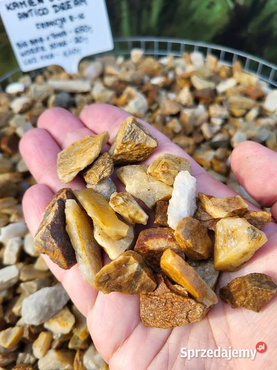 Kamień Gold Antico Dream 1632 Kamienie ogrodowe Góra Kalwaria sprzedam