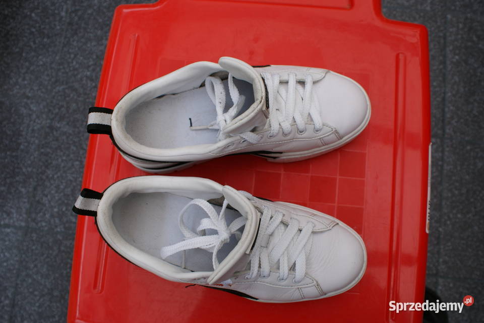 Buty Sportowe Oryginał PUMA 38 Okazja Olsztyn