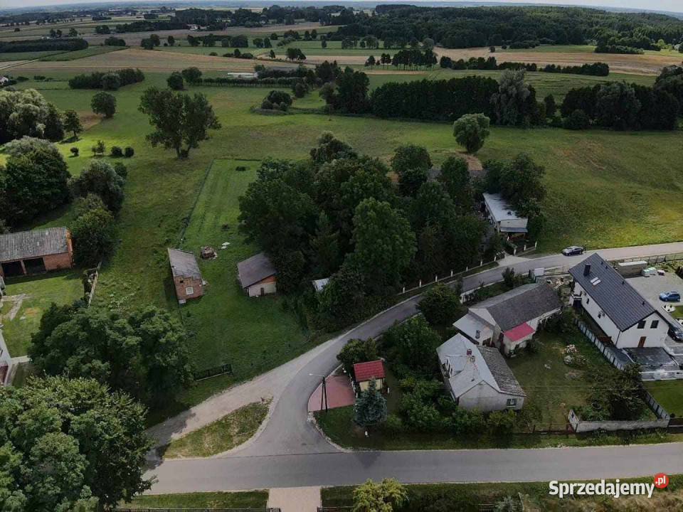 sprzedaży działki Dąbrowa Widawska 2500m2