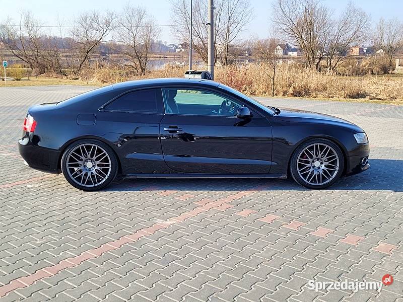 DOINWESTOWANY EGZEMPLARZ Słomniki