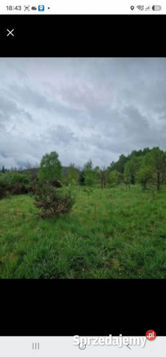 Działki budowlane Kołczygłowy 69 m Spokojna pomorskie