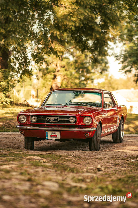 Sprzedam Ford Mustang 1966 V8 Rok produkcji 1966
