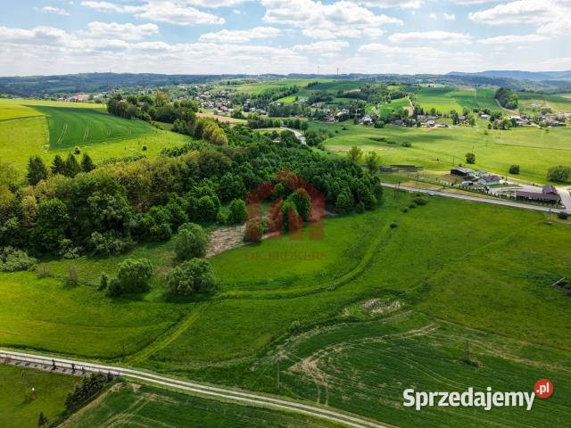 Działka 1000m2 Wielopole Skrzyńskie