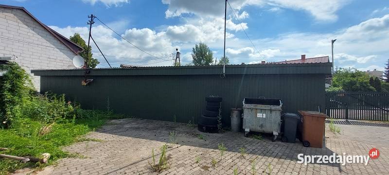 Syndyk sprzeda Ostrołęka Czeczotka mazowieckie