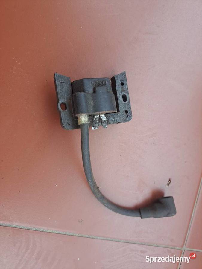 Cewka Tecumseh świętokrzyskie Małogoszcz