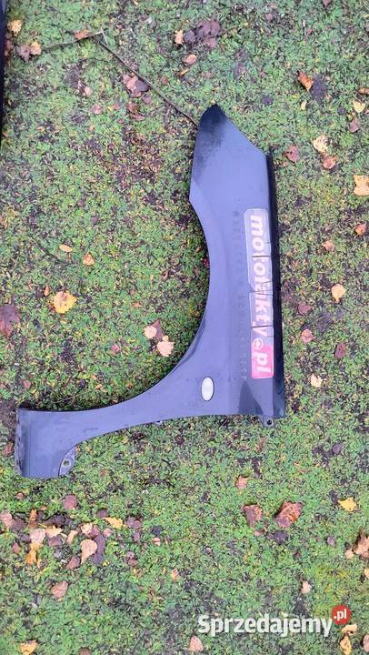 Błotnik przedni lewy prawy Peugeot 307 Części samochodowe Bydgoszcz