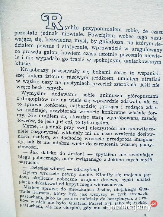 W barszczu przygód książka Słyk unikatowe sprzedam
