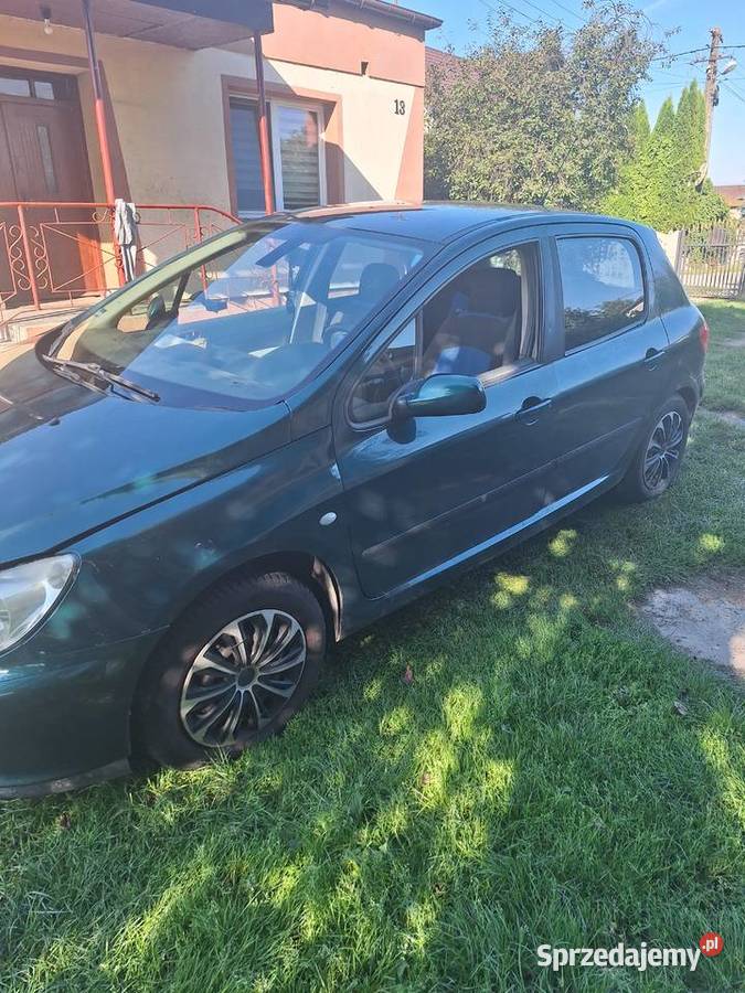 Peugeot 307 20 HDI 90KM łódzkie Bliźniew sprzedam