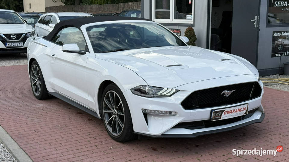 Ford Mustang Cabrio Wypas Automat VI 2014 Sade Budy