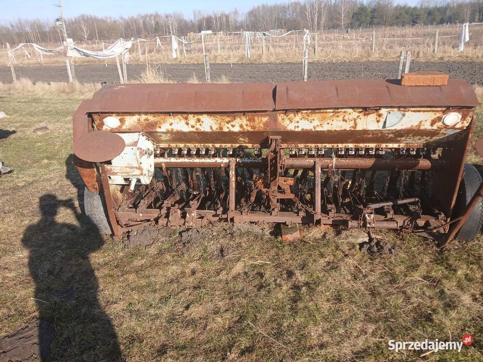 Siewnik Poznaniak Widełka