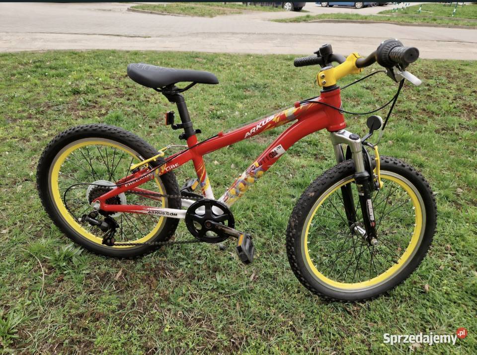 Rower Arkus Evolution wielkopolskie