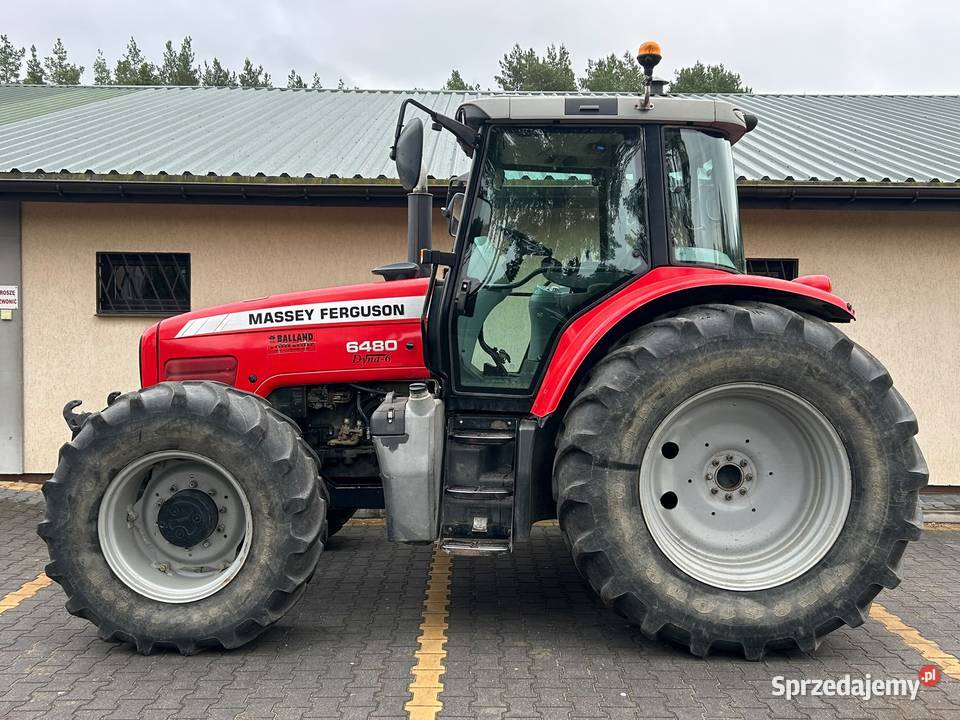 Massey Ferguson 6480 TUZ Idealny Stan 5800h Massey Ferguson Ciągniki Laskowiec