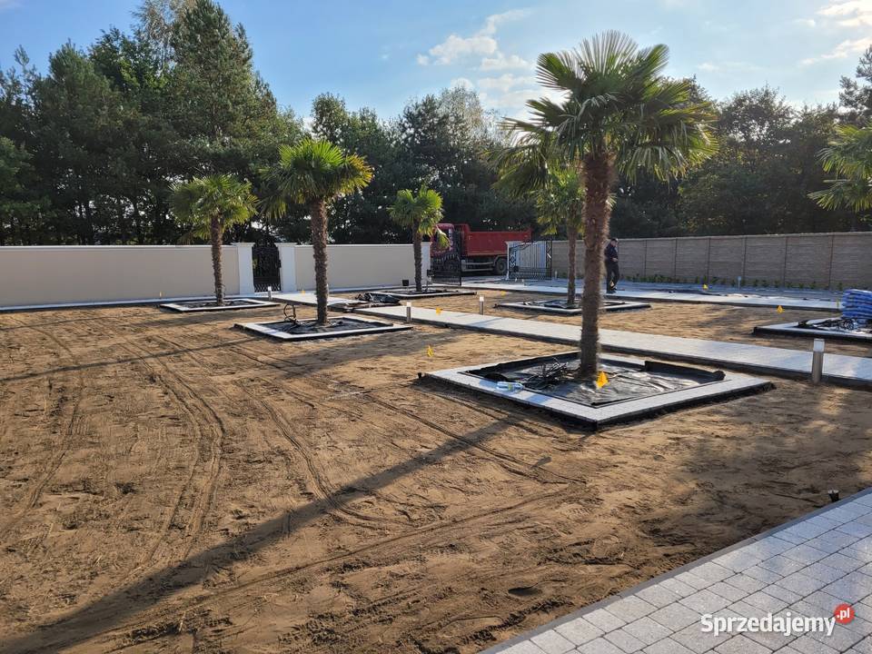 Zakładanie Budowa Ogrodów Łęczna Trawniki Projektowanie i zakładanie ogrodów